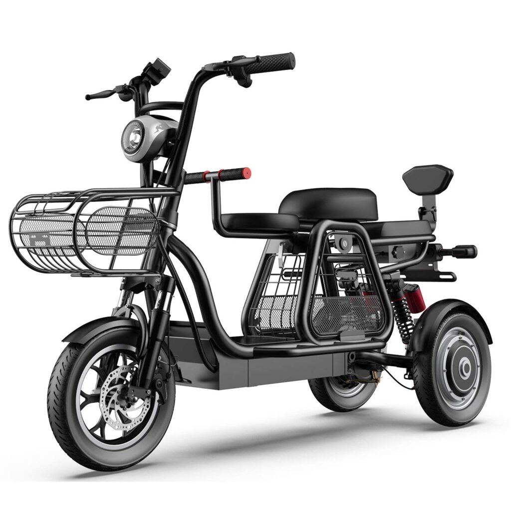 3 Wheel Electric Bike