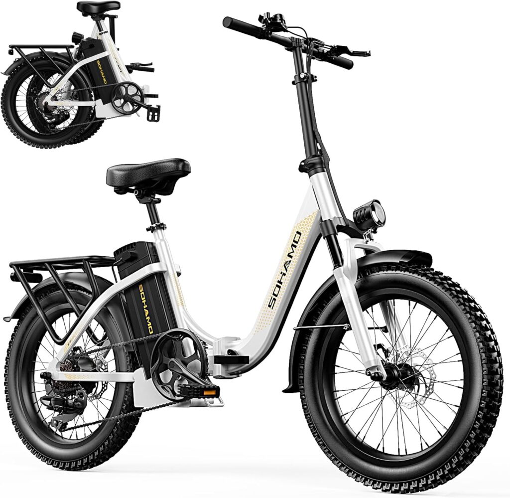 Buy Electric Bikes Online