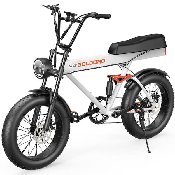 Electric Bike 60 Mile Range