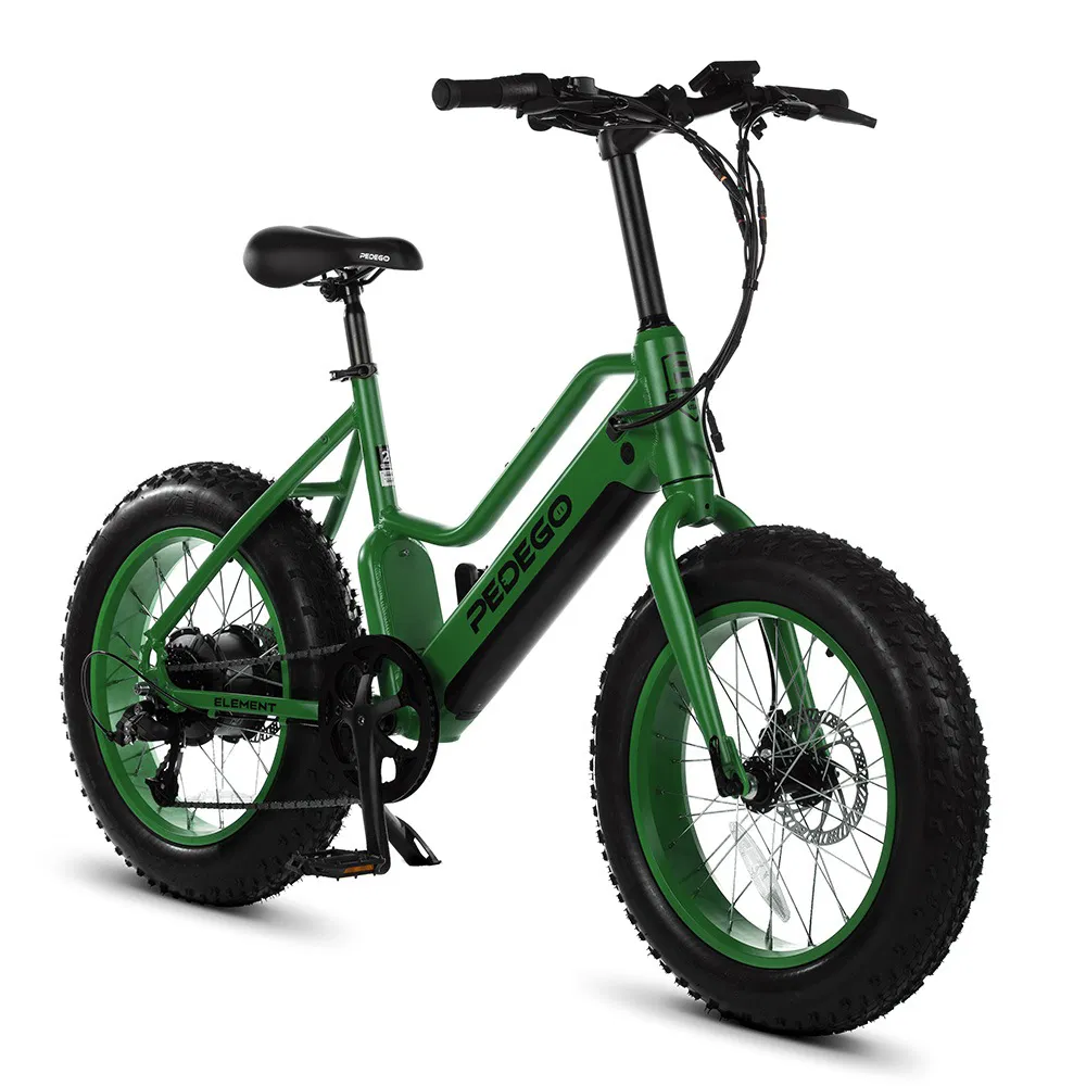 Electric Bike Boca Raton