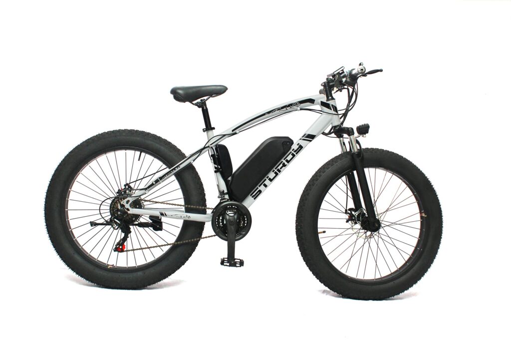 Electric Fat Bike For Sale