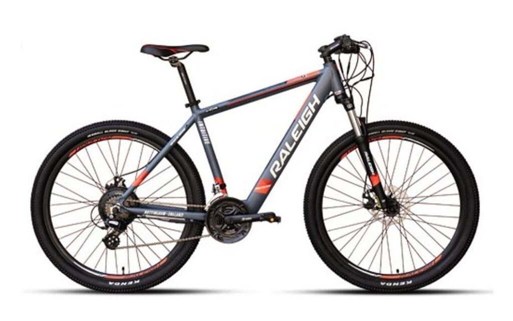 Raleigh Electric Bike