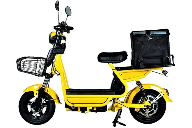 Rent Electric Bike